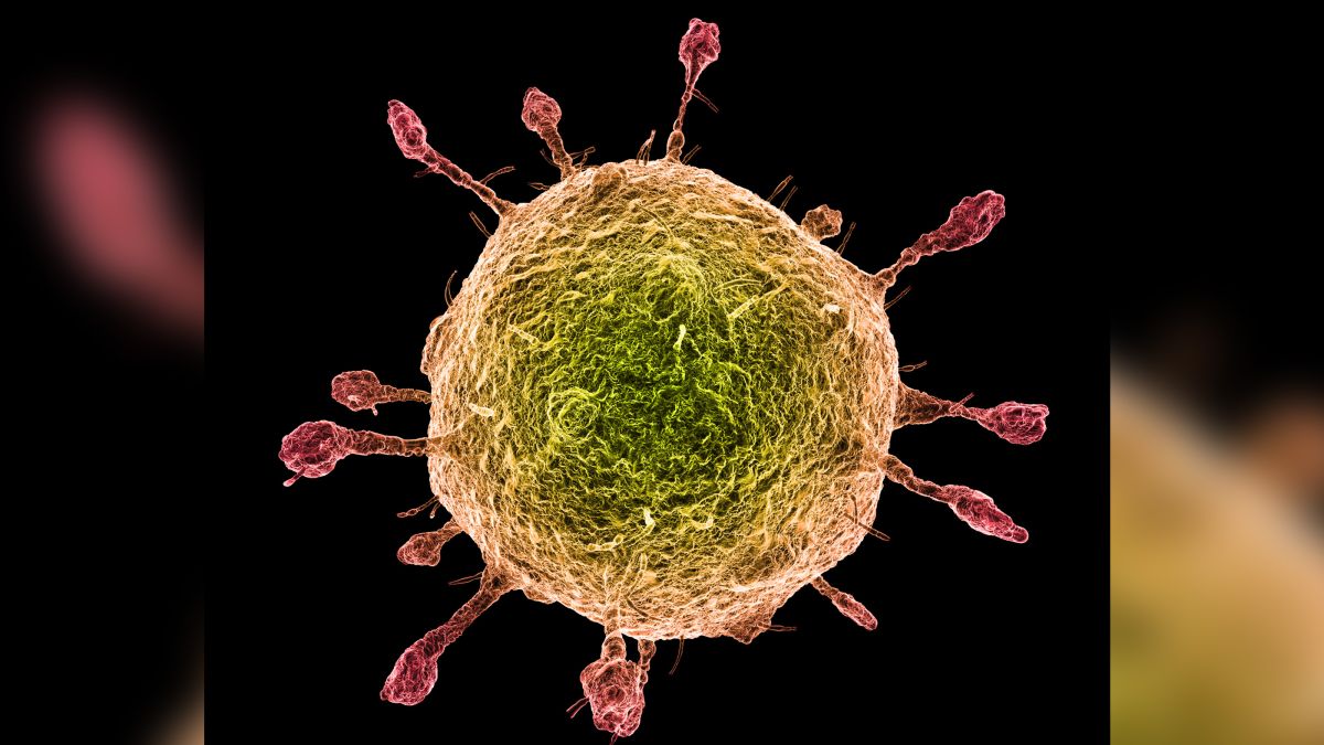 Colorized electron imaging of a corona virus