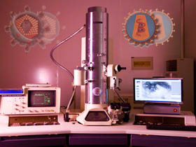 Composition electron microscope and corona virus illustration